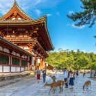 In Nara Park, deer roam freely among ancient paths and temples. Nearby stands Yakushi-ji Temple, a symbol of Buddhist spirituality and Japanese history.
