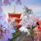 A young Japanese woman in a traditional kimono in front of the Kiyomizu-dera Temple in Kyoto embodies elegance and Japanese culture, amid ancient architecture and scenic views.