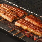 Unagi, a tender and flavorful eel, is often grilled using the traditional kabayaki method, which enhances its rich taste and makes it a true Japanese delicacy.