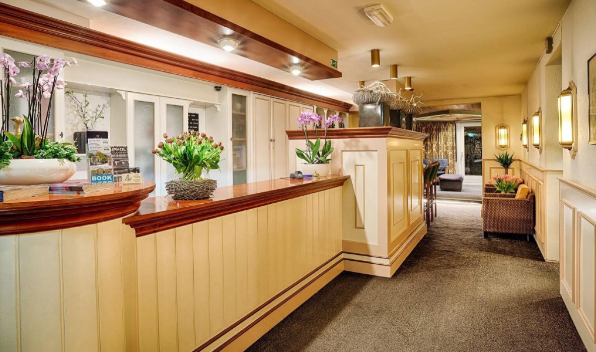 Owl Hotel - Immagine 1