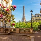 A small square with classic Parisian lampposts frames the Eiffel Tower in the background, blending timeless urban charm with the grandeur of Paris’s iconic symbol.