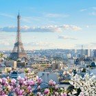 The Eiffel Tower rises gracefully above the Parisian rooftops, dominating the cityscape. A perfect contrast between the city’s iconic symbol and the buildings that tell its history.