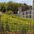 Clos Montmartre is a picturesque urban vineyard hidden behind the Sacré-Cœur. Among neat rows, it grows over 30 grape varieties, offering a unique green corner in Paris.