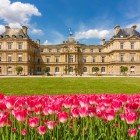 The Luxembourg Gardens in Paris enchant with colorful tulips adorning manicured paths and elegant fountains, while the majestic palace offers a regal and romantic atmosphere.