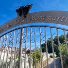 The Vigne du Clos Montmartre, a historic vineyard at the foot of the hill, offers neat rows and ripe clusters. An urban green oasis blending nature, history, and unique views.