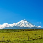 The majestic Cotopaxi Volcano with its snow-capped summit rises over Ecuador, framed by green fields and Andean landscapes, an iconic natural wonder