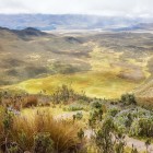 View from the trail to Rumiñahui in Cotopaxi National Park, Ecuador, surrounded by spectacular Andean landscapes and sights of the majestic snow-capped volcano.