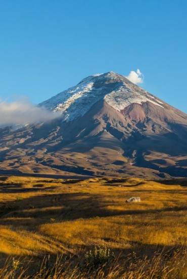 Cotopaxi Volcano, one of the world’s highest active peaks, rises with its snow-capped summit over the Andes, a breathtaking natural symbol of Ecuador.