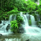 The spectacular Archidona waterfalls, in the heart of the Ecuadorian Amazon rainforest, enchant with crystal-clear waters, lush vegetation, and pristine nature.