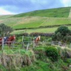 Magnificent scenery of the Antisana Ecological Reserve in Ecuador, with the Andes rising in the background on a clear autumn day.
