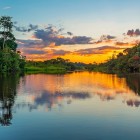 The sun sets on the banks of an Amazon river in Ecuador, painting the waters gold as the forest falls into magical silence, broken only by distant songs of nature.