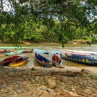 Canoe excursions along the Misahuallí River and the Napo River in Napo Province, also known as the Oriente of Ecuador.