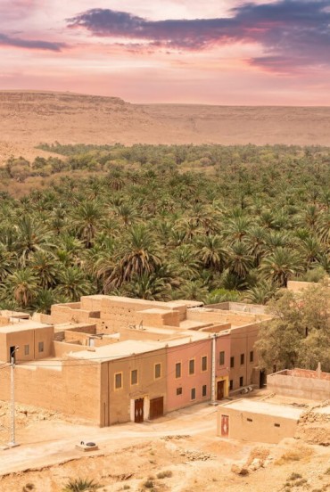 The city of Erfoud opens up among palm groves and ochre buildings, with a view embracing the golden dunes of the Sahara on the horizon.