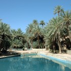 The blue waters of Meski, among palms and oases in the Moroccan desert, offer a unique, fresh, and pristine landscape immersed in nature.