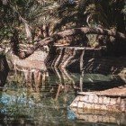 The blue waters of Meski arise near ancient Berber villages and caravan routes, preserving history, traditions, and life in the Moroccan desert.