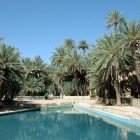The blue waters of Meski, among palms and oases in the Moroccan desert, offer a unique, fresh, and pristine landscape immersed in nature.