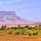 Marrakech → Ait Ben Haddou → Zagora