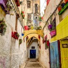 An alley in the Mellah of Fez enchants with colorful walls and hanging plants, offering an authentic atmosphere and unique photographic views.