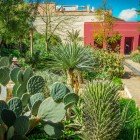 In the Secret Garden of Marrakech, lush plants and a variety of succulents create a green and harmonious oasis in the historic Medina.