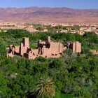 Ancient earthen kasbah in the Valley of Roses, surrounded by rose gardens and palm groves, a testament to Berber history and traditional architecture.