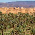 Nkob stands out for its mud houses that blend with the landscape, nestled among green palm groves and the arid mountains of Jbel Saghro.