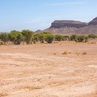 The surroundings of Tazzarine offer a desert landscape of dunes, rocky valleys, and scattered palm groves, with warm colors shifting with the changing light of the day.