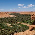 The palm groves of the Ziz Valley stretch along the river, among green oases and traditional villages set in Morocco’s desert landscape.