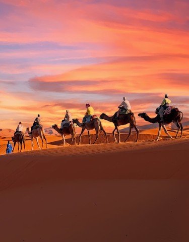 Southern Morocco and Kasbah Tour