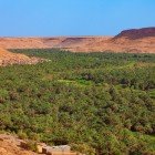 From above, the palm grove of the Ziz Valley is revealed in its full extent, among green oases and evocative views in the Moroccan desert.