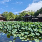 The Garden of Harmonious Interest in the Summer Palace combines pavilions, ponds, and bridges, harmonizing imperial architecture with Beijing’s natural landscape.