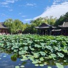 The Garden of Harmonious Interest in Suzhou is a masterpiece of Chinese landscape design, featuring ponds, pavilions, and paths that evoke calm and beauty.