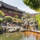 In the Yu Mandarin Garden, peaceful ponds, ancient bridges, and koi carp create an oasis of peace and beauty in Chinese tradition.