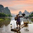 Fisherman on the Li River in Guilin with trained cormorants, an ancient tradition that combines skill, nature, and unique karst landscapes.