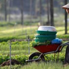 A Vietnamese farmer carries freshly harvested vegetables, among green fields and the scent of herbs, symbolizing authentic rural life.