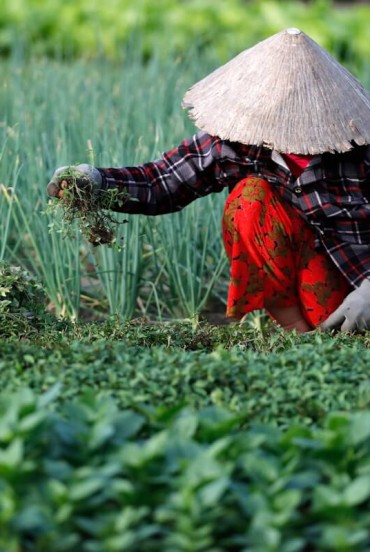 Tra Que Village, Cam Thanh Village