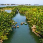 The coconut forest in Cam Thanh surrounds tranquil canals and traditional villages, offering unique glimpses of rural life in central Vietnam.