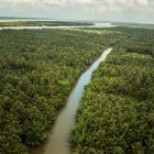 Ben Tre from above shows vast coconut plantations, villages along the canals, and the typical landscape of the Vietnamese Mekong Delta.