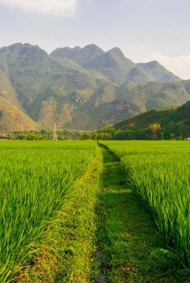 Cha Long and Na Tang Villages