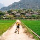 Rice plantations in Vietnam wind through valleys and flooded fields, creating a mosaic of bright green and highlighting the country’s agricultural significance.