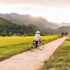 A rice field near the village of Lac in the Mai Châu valley stretches among green hills, reflecting Vietnam’s agricultural tradition and rural life.