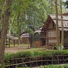 The traditional houses in the Hanoi Ethnology Park recreate authentic dwellings of Vietnam’s ethnic groups, built with wood, bamboo, and thatched roofs.