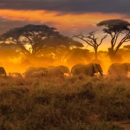 Tanzania