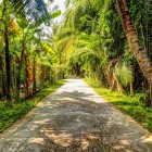 Tuk-tuk ride through the countryside of Ben Tre, with river views, palm trees, and the daily activities of Mekong Delta Vietnamese villages.