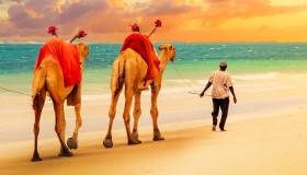 Diani Beach
