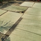 Sai Gon