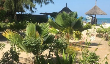 Driftwood Beach Lodge