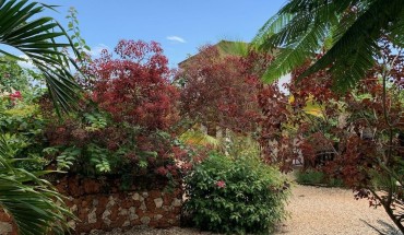 Tropicana Garden