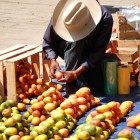 A mango and fruit vendor at the San Cristóbal de Las Casas market displays baskets filled with tropical colors and aromas, offering fresh produce and embodying the authenticity of local life.
