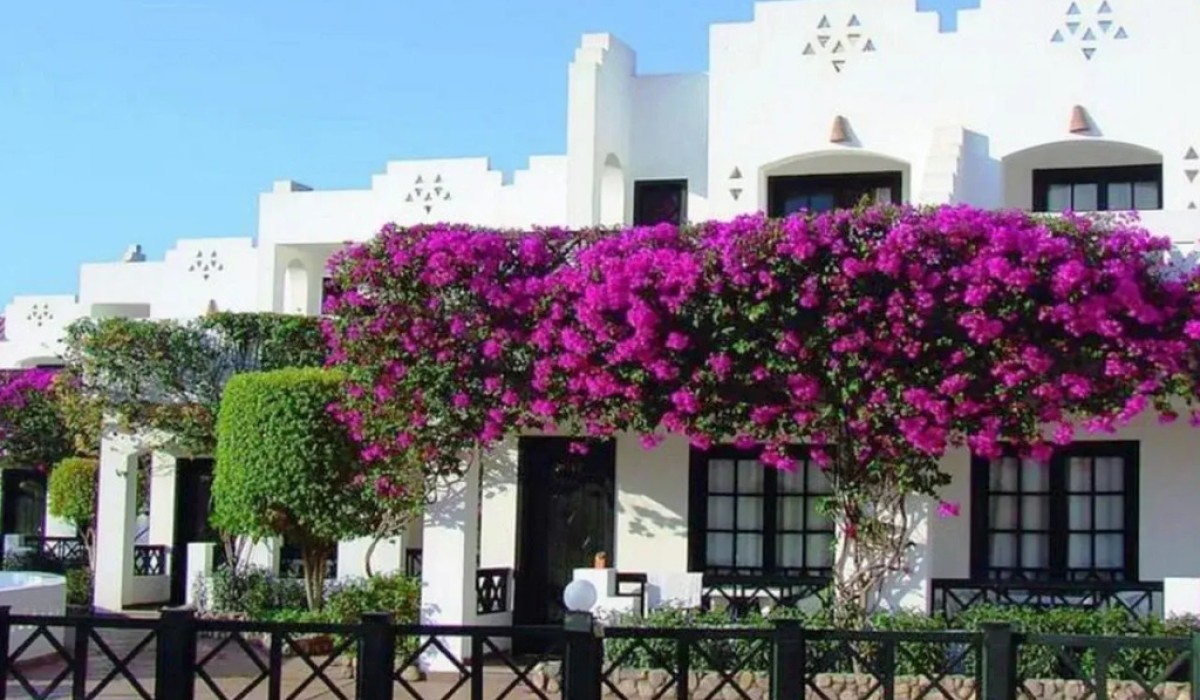 Verginia Sharm Resort & Aqua Park - Immagine 2