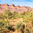 Between Agdz and Zagora, a scenic route unfolds through lush palm groves, red-earth villages and ancient kasbahs, immersed in the authentic landscapes of southern Morocco.